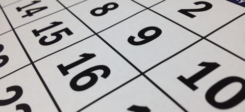 Calendario del concurso — fechas y plazos de entrega